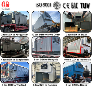 Chaudière à biomasse horizontale à grille fixe DZH, fabriquée en Chine, alimentée à granulés de bois, pour usine de transformation alimentaire - Product Image 2