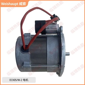 Motores Originales Weishaupt ECK03/H-2/1 y ECK05/W-2, Piezas de Caldera de Alta Calidad - Product Image 4