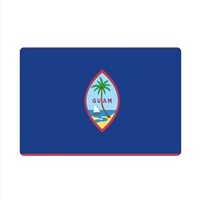 Tapis de sol en caoutchouc polyester imprimé drapeau national de Guam, 40*60 cm, tapis d'entrée rectangulaire antidérapant