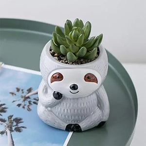 Maceta de cerámica con diseño de <span class=keywords><strong>Koala</strong></span> para decoración del hogar, maceta suculenta con ranuras para flores, adornos de escritorio, bonsái, maceta para decoración de jardín - Product Image 6