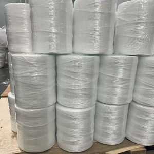 1 G/ml 2 G/ml 0.7 G/ml 0/8 G/ml UV-Stabilisatie 1% 2% Pp-Tomaat Bindtouw Voor Landbouw - Product Image 1