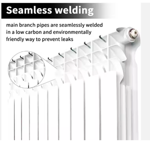 <span class=keywords><strong>Radiateur</strong></span> bimétallique d'<span class=keywords><strong>eau</strong></span> <span class=keywords><strong>chaude</strong></span>-<span class=keywords><strong>aluminium</strong></span> moulé sous pression, conception de rendement optimum - Product Image 1