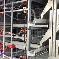 Vente chaude : Équipement de cage galvanisé à chaud entièrement automatique à 3 niveaux en forme de H pour l'élevage de poulets de chair, destiné au Moyen-Orient