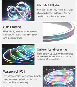BRIGHT <b>RGB</b> LED Neon Light Strip Remote <b>Control</b> DMX Silicone IP67 Landscape Lighting 3-Year Warranty DC24V Dimmable - Product Image 2