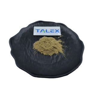 Poudre de spicules d'éponge Spongilla naturelle à 45 % et 70 %, prix d'usine, pour peeling à base d'algues - Product Image 1