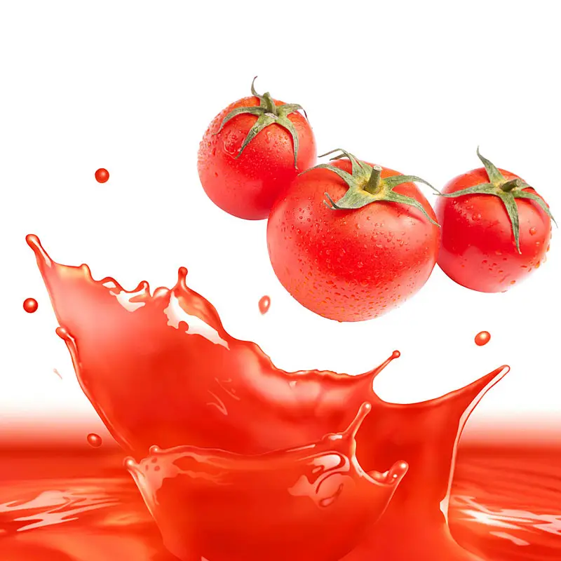 Linea di produzione del concentrato di pomodoro macchina per la produzione di concentrato di pomodoro attrezzatura per la lavorazione della salsa di pomodoro