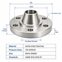 Bride à joint de superposition en acier inoxydable sanitaire 316L avec embout pour la transformation alimentaire et la laiterie EN 1092-1 Type 04 DN25-DN400