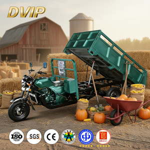 Tricycle cargo motorisé à trois <span class=keywords><strong>roues</strong></span> avec cabine fermée, vente en gros d'usine, essence, robuste, charge utile de 400 kg, 50-70 km/h, double - Product Image 1