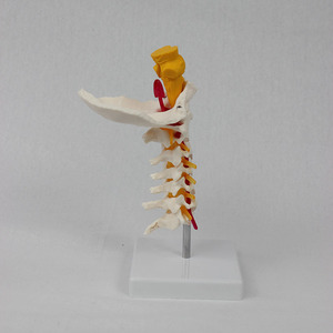 7 - Product Image 1