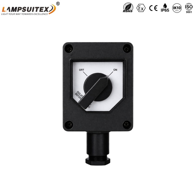 Industrial IP66 Waterproof Explosion-Proof ON/OFF Rotary Isolator Switch for Zone 20/21/22