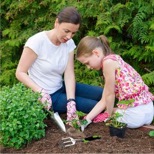 Set di 3 Attrezzi da Giardinaggio Include Paletta da Giardino, Paletta per Trapianto e Rastrello Manuale con Impugnatura Ergonomica Antiscivolo - Product Image 6