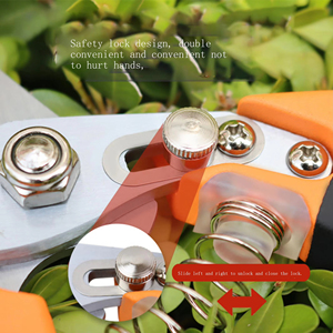 Probon Offre Spéciale Outils de Jardinage Professionnels Sécateurs de Jardin et de Jardinage Domestique Coupe-herbe Précis et Robustes - Product Image 3