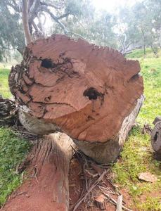 Cortador rápido de <span class=keywords><strong>cadena</strong></span> dorada, material de aleación de <span class=keywords><strong>titanio</strong></span>, 325 - Product Image 4