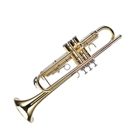 LADE Professional Bb Flat Brass Trumpet Instrument Set Kit Accessory
