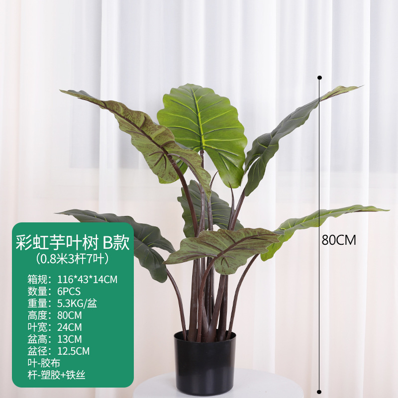 Hojas de taro arcoíris de 80 cm, 7 hojas b