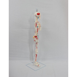 85CM - Product Image 3