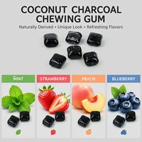Chewing-gum sans sucre au charbon de coco activé, saveur menthe et fruits, blanchiment des dents, xylitol, emballage personnalisé OEM, marque privée
