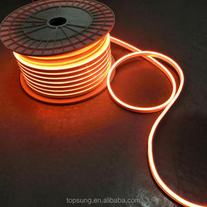 100m Led Neon <strong>Strip</strong> Orange 24v Neon Led <strong>Lights</strong> Flexible Soft <strong>Strip</strong> Lightings Outdoor Luz Luces Neon <strong>Bulbs</strong> &amp; Tubes - Product Image 4