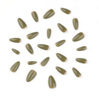 24 faux ongles à presser, présentés sur carte, pour présentation, vente en gros, personnalisables, pour filles, forme amande, ongles esthétiques