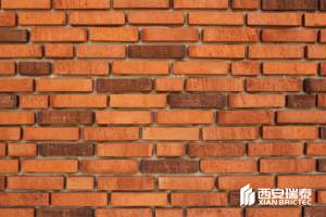 Briques <span class=keywords><strong>de</strong></span> <span class=keywords><strong>parement</strong></span> en <span class=keywords><strong>terre</strong></span> <span class=keywords><strong>cuite</strong></span> en céramique <span class=keywords><strong>de</strong></span> décoration murale pour mur rideau briques <span class=keywords><strong>de</strong></span> pavage routier briques décoratives - Product Image 6