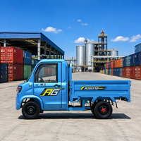 Camionnette électrique avec logo personnalisé, 2 places, caméra de recul MP5, véhicule de transport de marchandises pour l'Égypte
