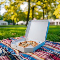 Boîtes à pizza écologiques en carton ondulé kraft, grand format, résistantes à la graisse, avec logo personnalisé, impression offset mate, fournisseur direct d'usine Sp3441.