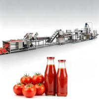 Ligne de production de jus de tomate. Usine complète de transformation de tomates, machine de remplissage de purée et de jus de tomates