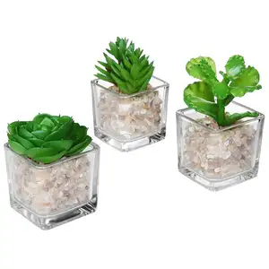 Nieuwe Collectie Mini Clear Glazen Kubus Planters Display Vazen Kunstmatige Vetplant Potten Voor Kamerplanten
