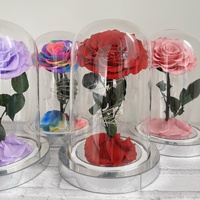Offre Spéciale : Rose Éternelle Faite à la Main, Cadeau Créatif Modèle Petit Prince PB, Idéal pour la Saint-Valentin et Noël