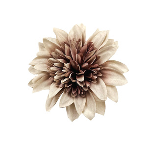 Fleurs de chrysanthème en soie, diamètre 10 cm, fleurs artificielles pour décoration de mariage, accessoires de décoration intérieure - Product Image 5