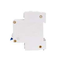Disjoncteur différentiel monophasé LINZIELE 1 pôle + neutre RCBO DZ40LE-63 C63 230V IP20 6kA pour usage domestique