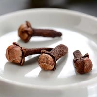Clous de Girofle Entiers Allongés Naturels Séchés – Prix de Gros pour Transformation Alimentaire, Fournisseur d'Épices Brutes