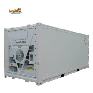 -70 Degree Thermo King Supper Reefer 20ft Deep Freezer Container For Sale