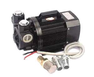 High Quality Electric 12V 24V 220V Fuel Oil Explosion Proof Pumping Silent Pumps