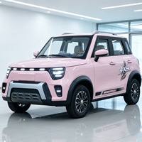 Nouveau véhicule de transport domestique électrique SMT à quatre roues, SUV rose avec phares LED, design élégant, fabriqué en Chine