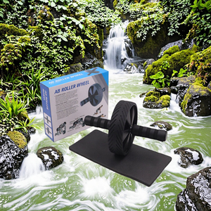 Hot bán cơ bản vật liệu sắt Con lăn tập luyện Ab bánh xe nhà phòng tập thể dục tập thể dục thiết bị tập thể dục - Product Image 3
