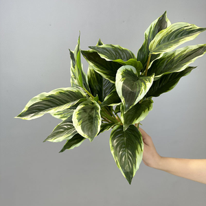 Lifelike Faux Greenery Evergreen <span class=keywords><strong>Calathea</strong></span> Dracaena Plantas Falso Palmeira 14 Folha Artificial Plantas Em Vaso para Decoração Home - Product Image 3
