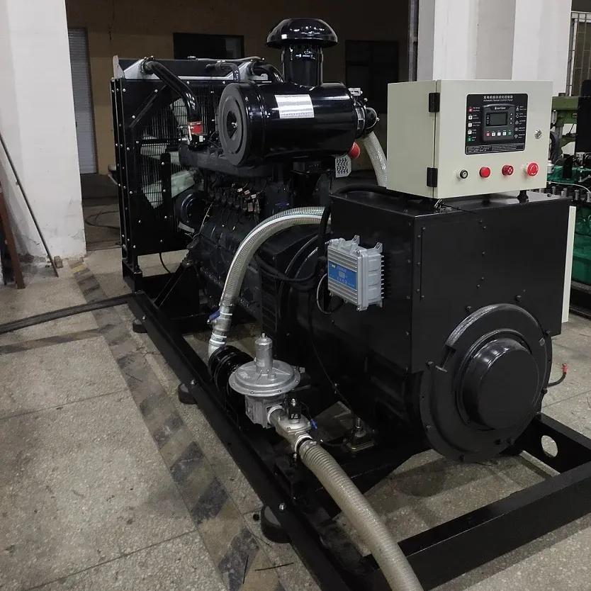 312.5KVA/250Kw natural gas biogas genset production and sales