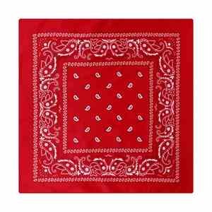 Bandanas Personalizadas con Estampado, Idea de Regalo Perfecta para Cumpleaños, Días Festivos, Graduaciones y Aniversarios - Product Image 6