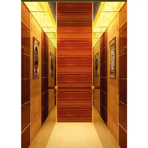 Famous Brand Nova Passenger Elevator Cabin China Passenger Lift Cabin