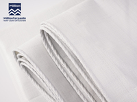 Bâche PE 10x10 140gsm Imperméable Résistante au Soleil Robuste pour Extérieur Jardin Camping Blanche Vente en Gros Usine Linyi