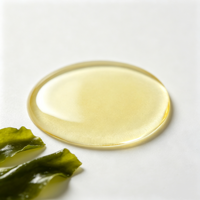 Huile d'algues de haute pureté DHA Oméga-3, huile d'algues microalgues végétalienne, huile d'algues DHA pour compléments alimentaires, approvisionnement en vrac