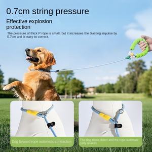 Cadena <span class=keywords><strong>de</strong></span> entrenamiento para perros pequeños, medianos y grandes, <span class=keywords><strong>de</strong></span> poliéster duradero, a prueba <span class=keywords><strong>de</strong></span> explosiones, para hacer nudos, Golden Walks, suministros para <span class=keywords><strong>mascotas</strong></span> sólidos - Product Image 2