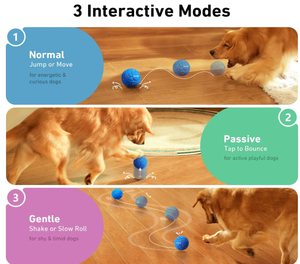 Meilleures ventes : Jouets interactifs pour chats d'intérieur, balle roulante automatique intelligente pour chatons, jouet de poursuite amélioré pour animaux de compagnie, cadeaux de Pâques - Product Image 4