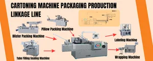 Automatic Blister Tray Cartoning Machinery Capsule Pill Plate Carton Box Packing Machine With Auto Feeding