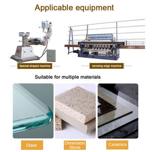 Mola Diamantata a Legante Metallico Ruizuan, Mola a Tazza Diamantata a Bisellatura Continua per Vetro per Macchine Bordatrici e Bisellatrici - Product Image 4