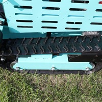 Livraison Gratuite Tondeuse à Gazon Télécommandée sur Chenilles Diesel 1000mm à Prix Abordable avec Compatibilité d'Accessoires