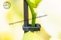 NIF Largement utilisé de qualité supérieure bambou orchidée treillis fleur bâtons orchidée support bâton avec clips