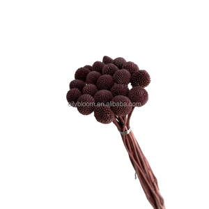Fiori decorativi per interni migliore qualità preservata Billy Craspedia Ball bottoni Billy per la decorazione domestica della disposizione dei fiori - Product Image 3