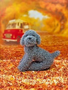 บูธกระดาษญี่ปุ่นพื้นหลังสำหรับถ่ายภาพสตูดิโอถ่ายภาพในร่มพับได้แบบมืออาชีพ - Product Image 2